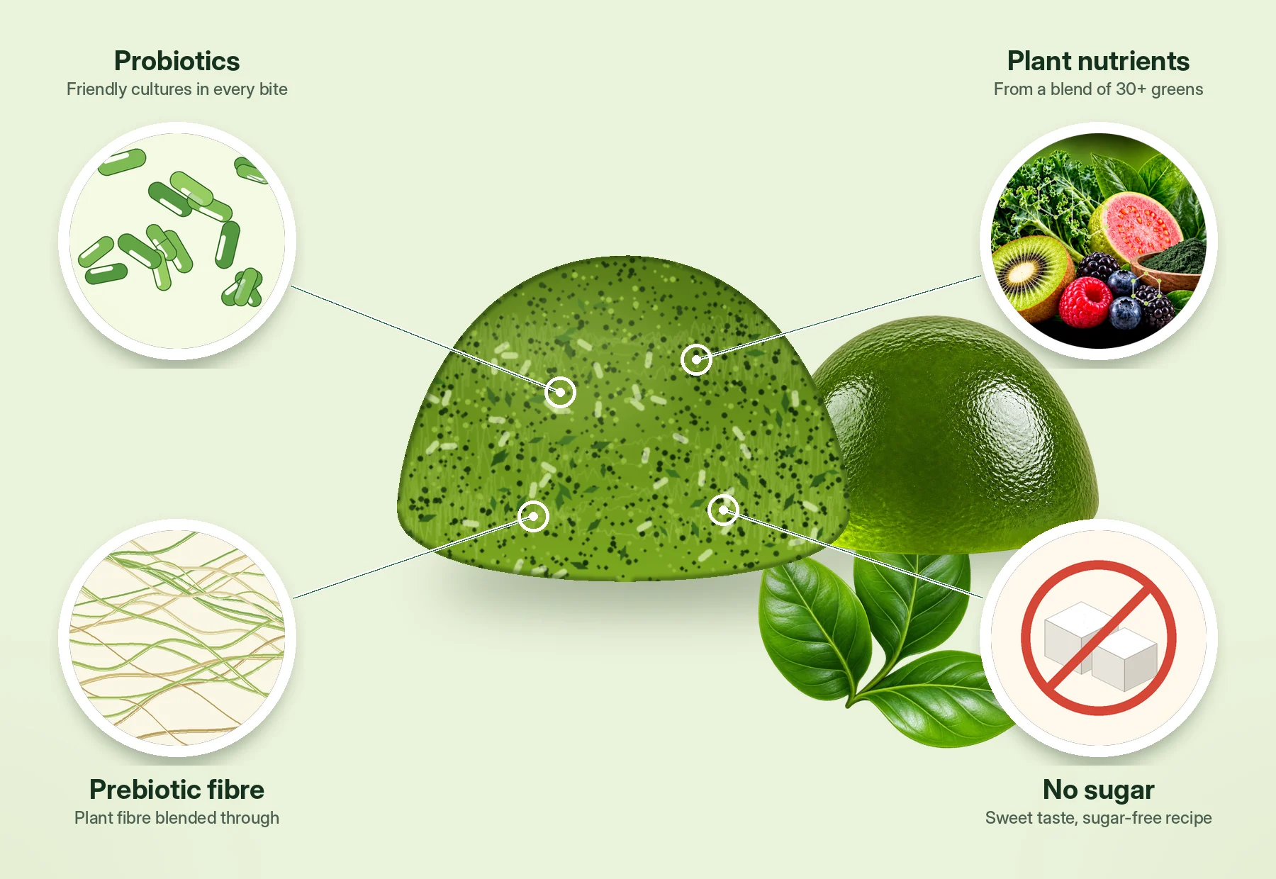 A Daily Greens gummy cut in half, with zoomed callouts: probiotics, prebiotic fibre, plant nutrients from 30+ greens, and no sugar